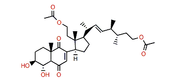 Pinnisterol G